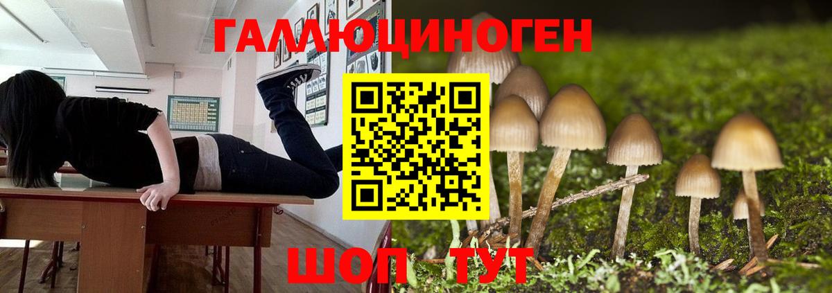 Псилоцибиновые грибы GOLDEN TEACHER Донской