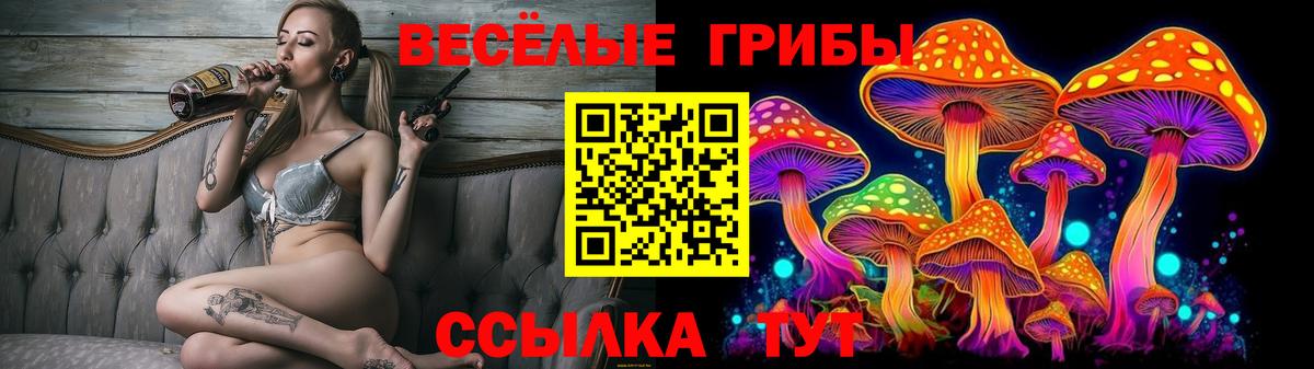 Донской  Галлюциногенные грибы прущие грибы  Вход с VPN 